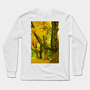 Pioneer Park Trees, Bayfield Long Sleeve T-Shirt